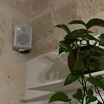 La Mattonella Monella