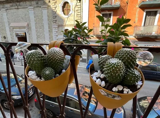 Apartamento La Mattonella Monella